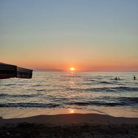 Shengjin Nest Lejlighed